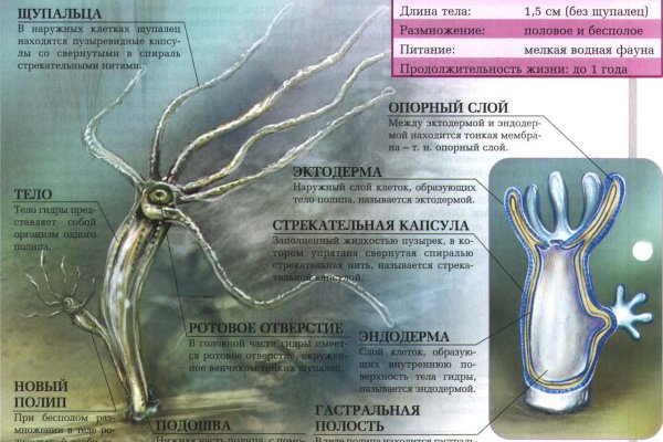 Ссылка на кракен krawebes