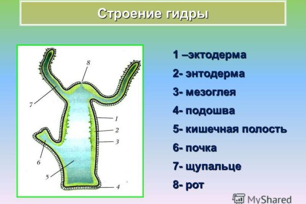 Kraken зеркало даркнет